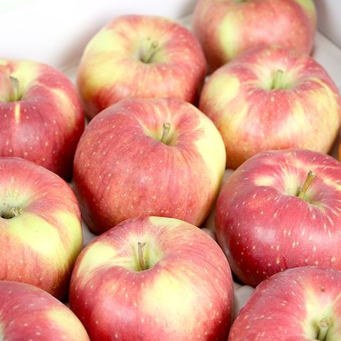 [25년 햇 특등급]강원도 인제군 사과 5kg 1박스