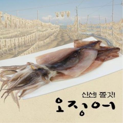 [덕신] 원양산 반건조 피데기오징어 110g이상×15미(총1.65kg)