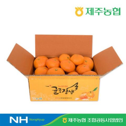 2026 귤로장생 제주 레드향3.5kg(12~24개  개당150g~300g)