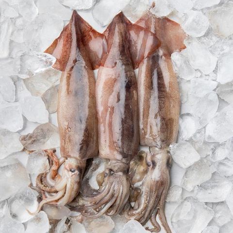 자연산 손질통오징어 200g(2마리)×4팩, 총8마리