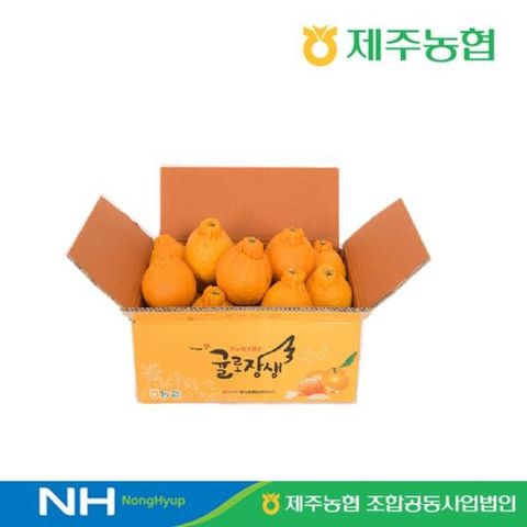 2026 귤로장생 제주 한라봉3.5kg