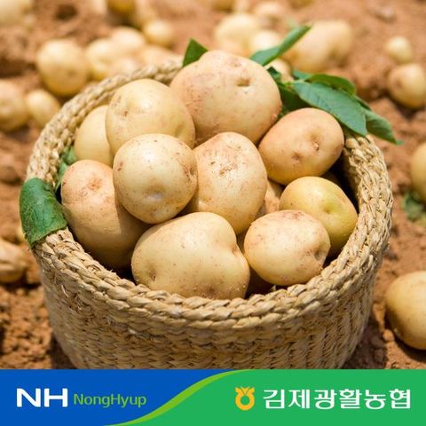 포슬포슬~ 2026 김제  하우스 햇 수미감자(5kg*1박스)