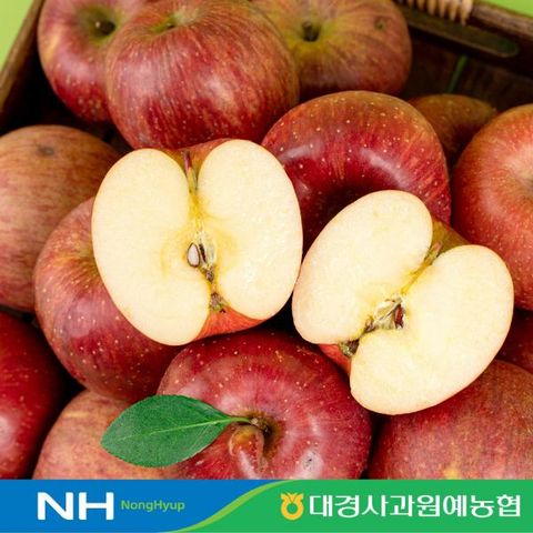 이로운 군위 햇 홍로 더알짜 5kg (17-30과), 개별중량170-300g