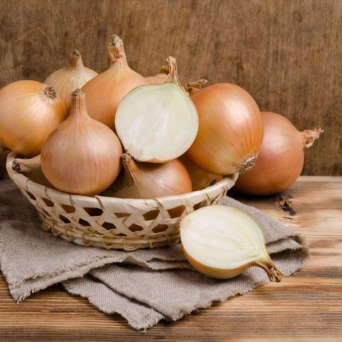 [산지직송] 25년 햇 무안양파 10kg (특소/소 혼합)