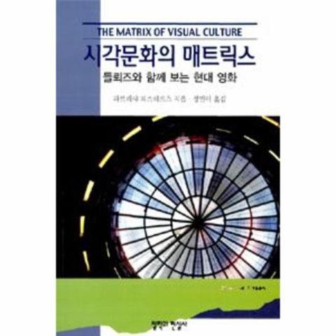 시각문화의 매트릭스