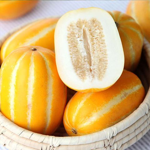 산지직송 정품 성주 참외 1kg 2kg 外 크기별 중량별