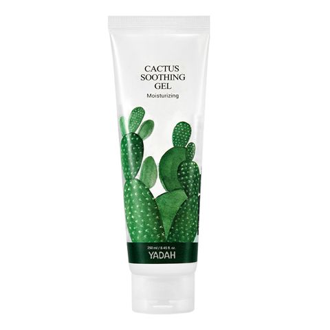 피부진정 수분 진정 선인장 수딩젤 250ml