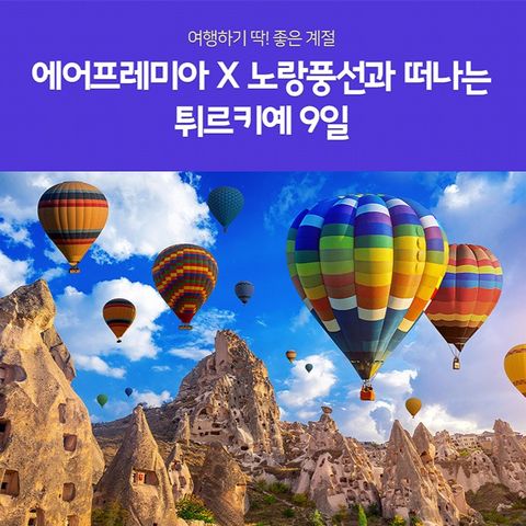 튀르키예 일주 9일 #월드체인 2박 #10대 특식