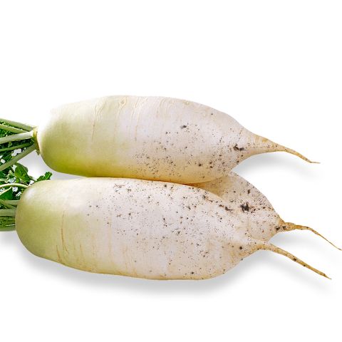 국내산 햇 흙 무 5kg 10kg