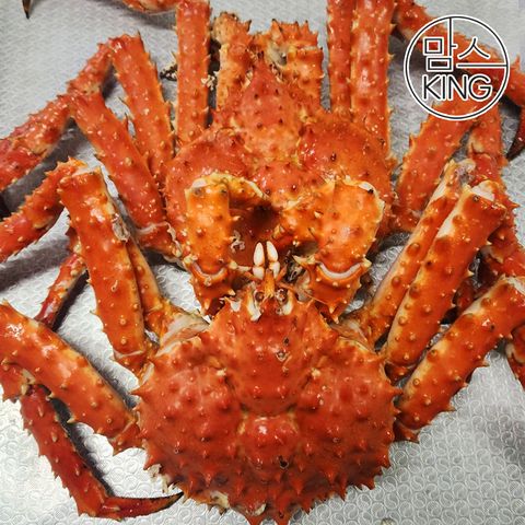 [맘스킹] 속초러브마린 북해도 레드 자숙 킹크랩 3kg(2마리)