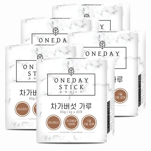 차가버섯 분말 가루 스틱 30포 x 2g x 5