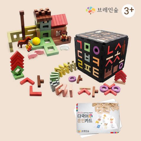 임직원몰[브레인숲] 신개념 한글교구 훈민틴트 퍼즐 블록세트