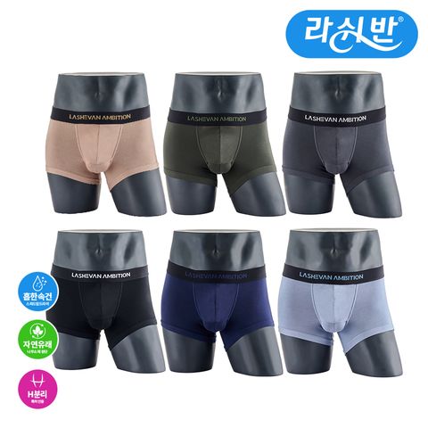 (미리주문)라쉬반 엠비션 클린우드 6종