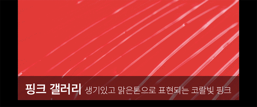 [OBJET/홈앤단독] NEW 오브제 볼류머 립스틱 5종 패키지(+모이스처 립센스밤)