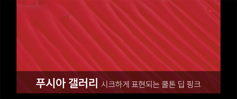 [OBJET/홈앤단독] NEW 오브제 볼류머 립스틱 5종 패키지(+모이스처 립센스밤)