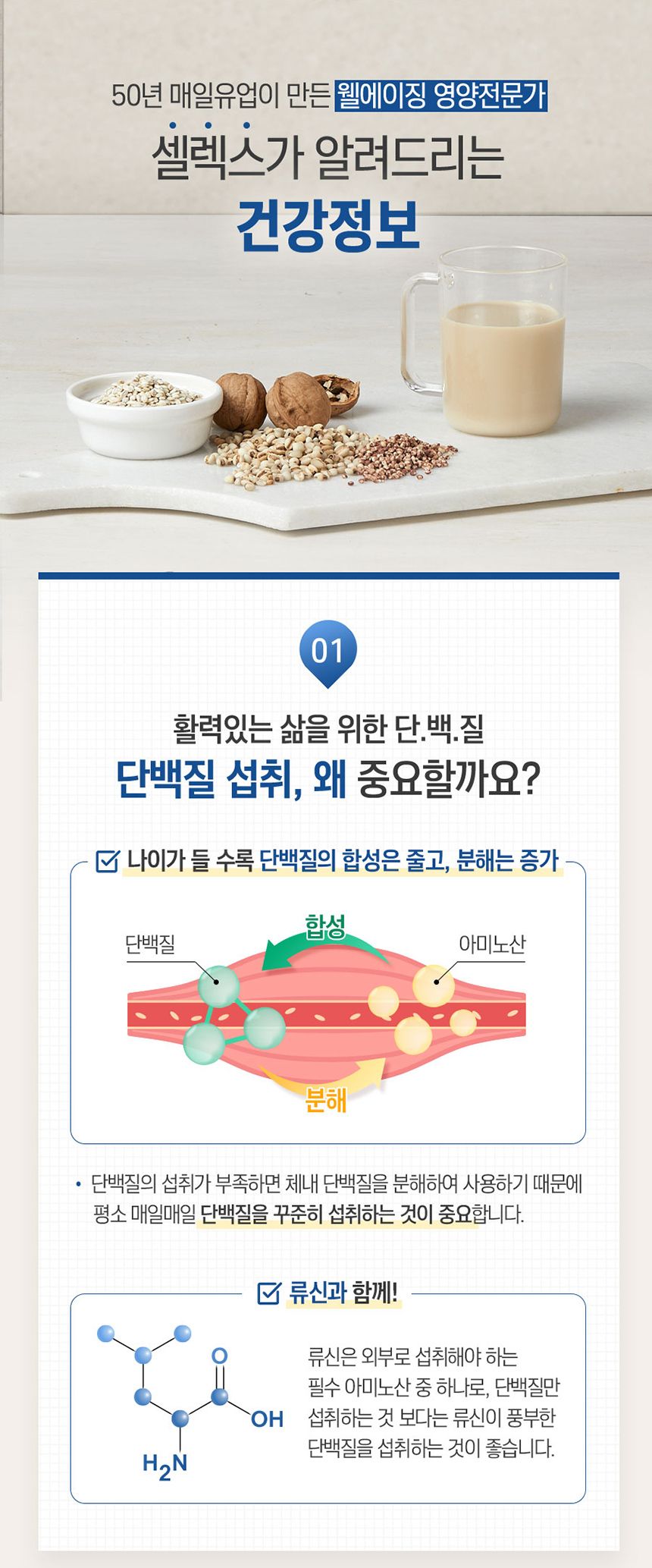 셀렉스 마시는 프로틴 로우슈거 TBA 대용량 190ML 48팩
