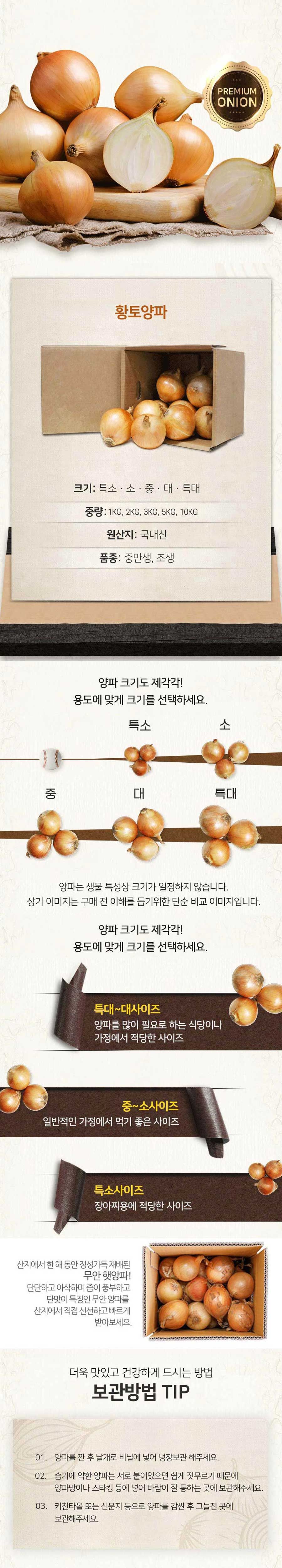 [산지직송] 무안양파 3kg / 중