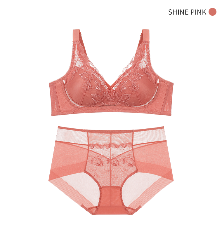 오모떼 미라클 수피마코튼 블루밍 컬렉션