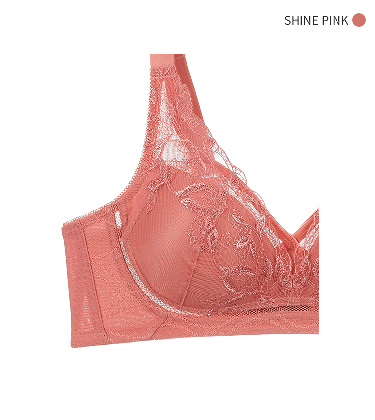 오모떼 미라클 수피마코튼 블루밍 컬렉션