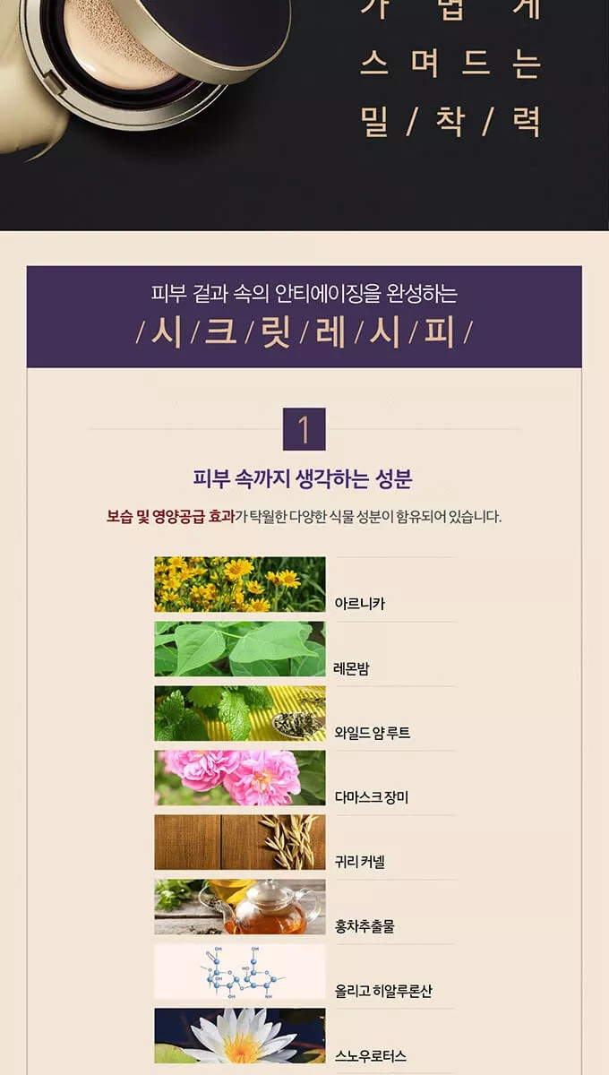 이자녹스 셀리뉴 컨실링 쿠션 최다(본품2+리필2+퍼프3)