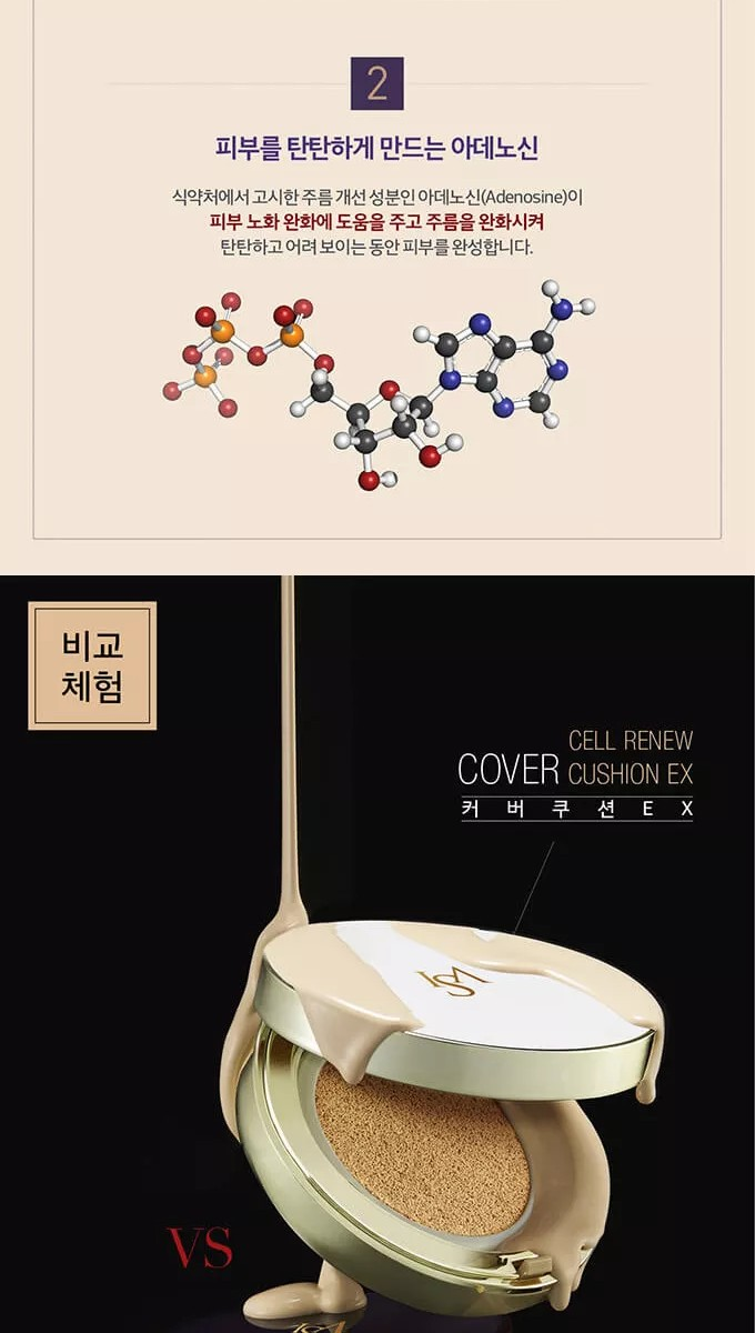 이자녹스 셀리뉴 컨실링 쿠션 최다(본품2+리필2+퍼프3)