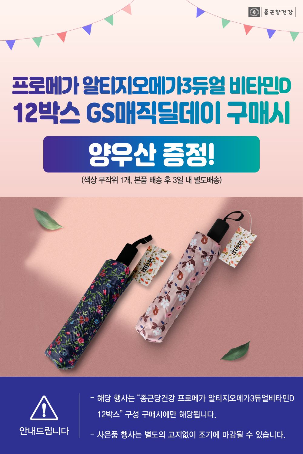 프로메가 알티지 오메가3 듀얼 비타민D 12박스 + 쇼핑백 1개