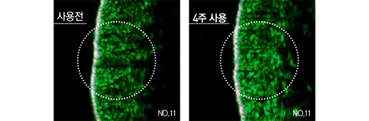 [도미나스] 크림4세대 기미미백크림 점보크림 점보앰플 점보구성