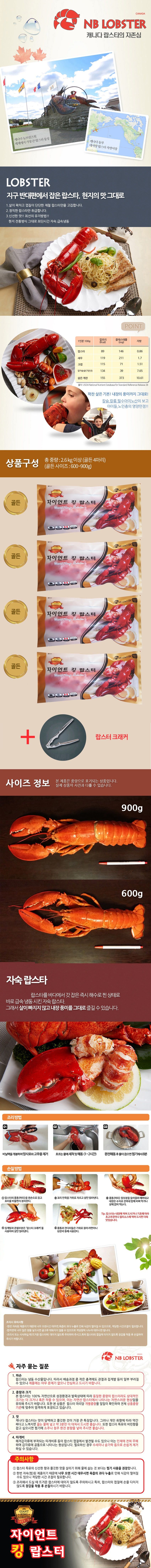 [골든사이즈] 자이언트 킹 랍스터 골든 (600~900g)x4마리