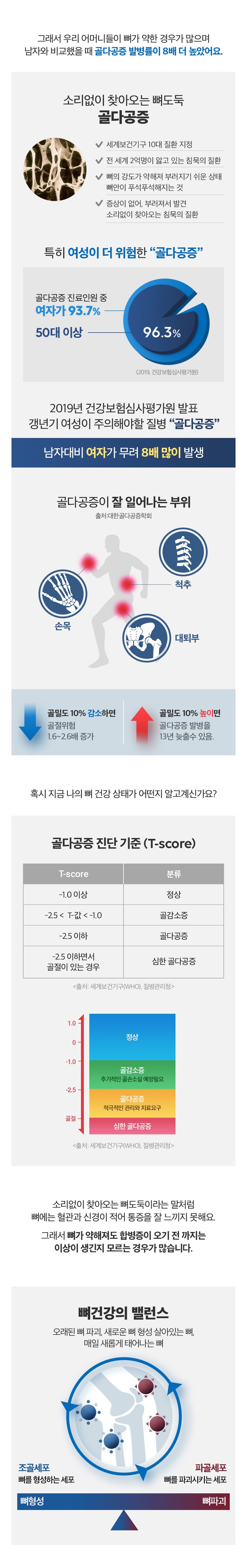 뼈엔 엠비피 MBP 12개월분