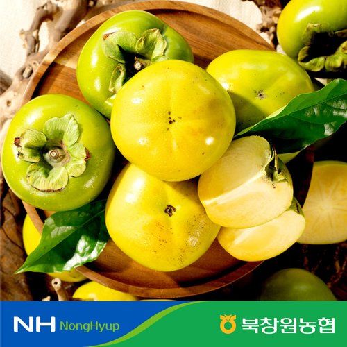 [농협] 태추단감 4kg (16~22과)