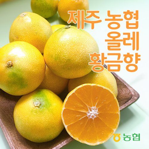 [총 3.5kg] 제주 황금향 1박스