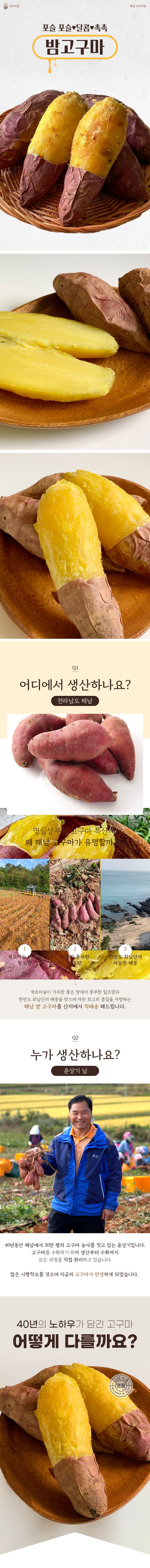 다모 해남 햇 밤고구마 7kg(3.5kgX2박스)