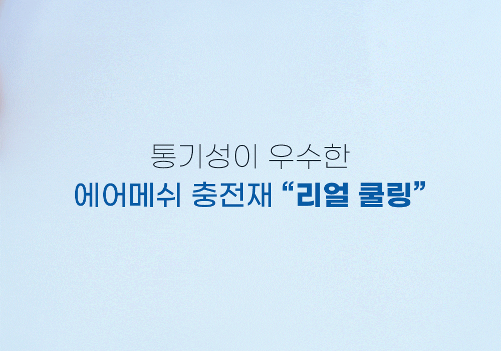 (퀸)에어룸 북극토퍼(토퍼X2+경추베개X2+베개커버X2)