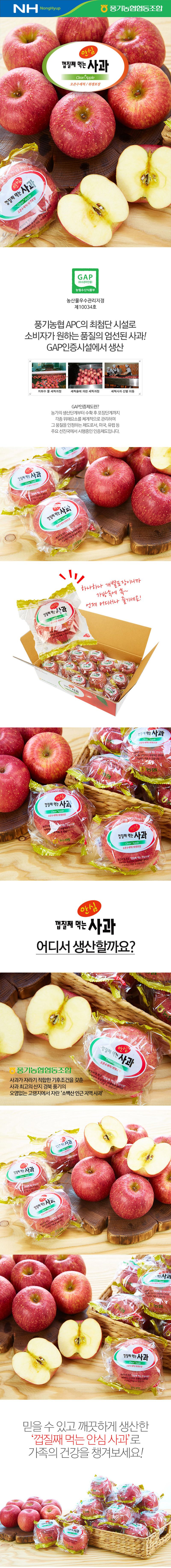 풍기농협 안심세척사과 2.7kg+2.7kg(총 5.4kg)