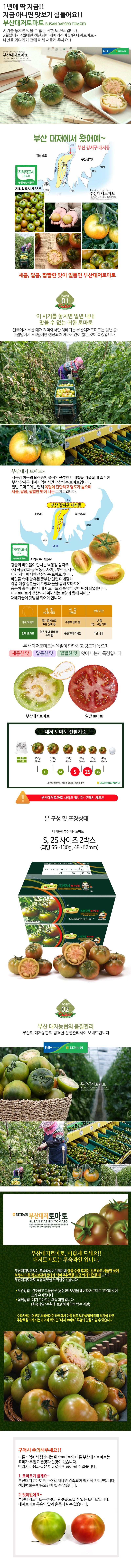 [2024년 햇] 대저 농협 대저토마토(S-2S) 1.8kg+1.8kg 총 3.6kg