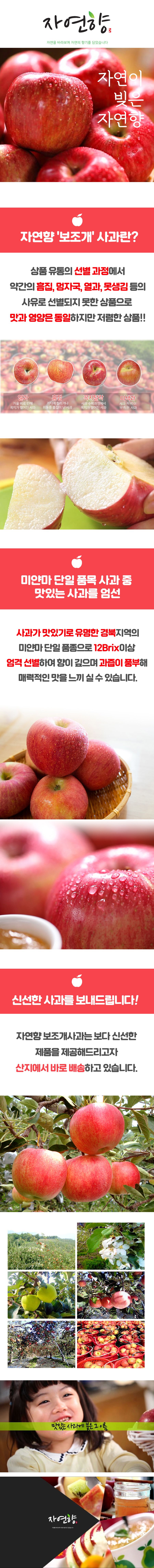 [23년 수확]자연향 부사 보조개사과 3kg*2박스 / 총6kg