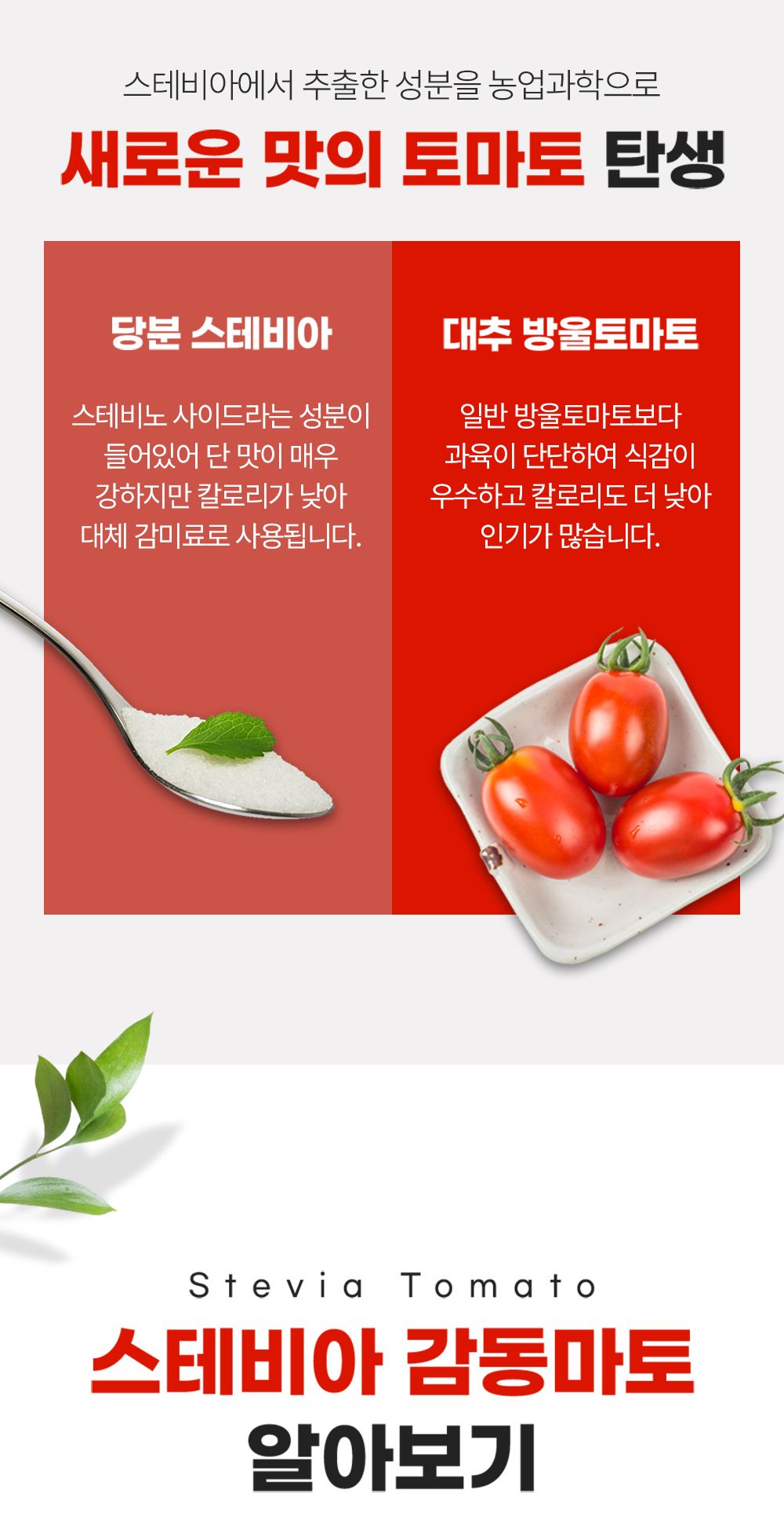 (일반)스테비아 방울토마토 500g * 12팩 [총6kg]