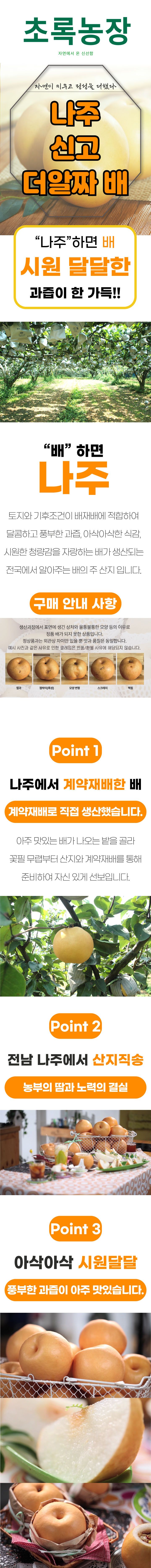[초록농장] 26년 햇 나주 신고배(더알짜) 7kg