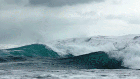 [GS단독] 가시제거연구소 고등어밥상 노르웨이 순살 대자 고등어 4팩 총 4kg