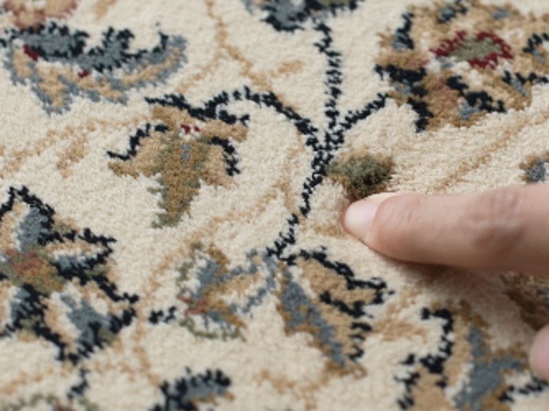 [슈퍼점보/베이지]★벨기에 직수입/100만 points★Ragolle 초고밀도 페르시안 프리미엄 카페트 2종(슈퍼점보+중형)