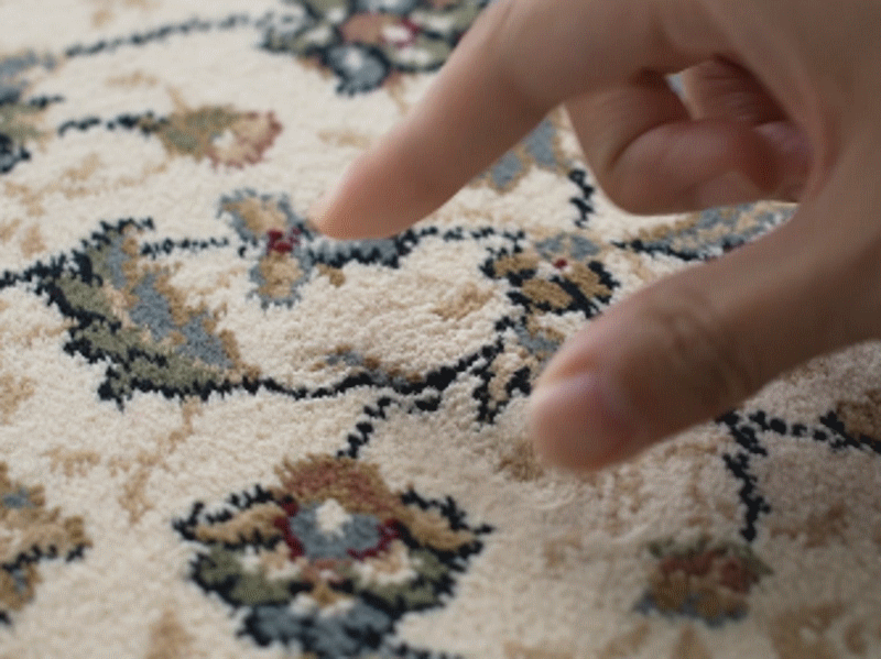 [슈퍼점보/베이지]★벨기에 직수입/100만 points★Ragolle 초고밀도 페르시안 프리미엄 카페트 2종(슈퍼점보+중형)