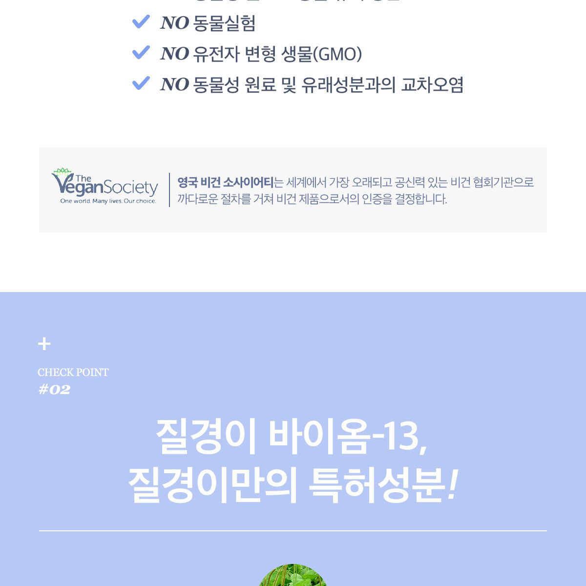 질경이 비건 여성청결제 모닝 젤 워시 GS 특별세트