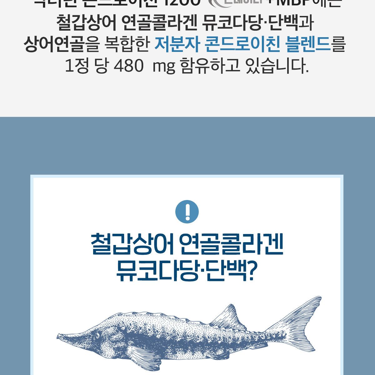 닥터린 콘드로이친 1200 콘레이티+MBP 12개월분