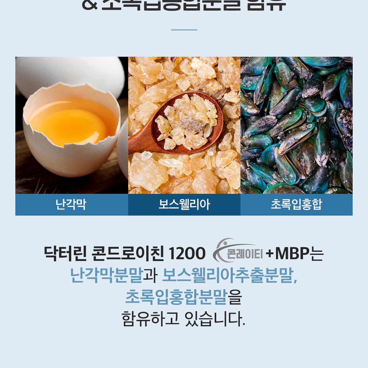 닥터린 콘드로이친 1200 콘레이티+MBP 12개월분