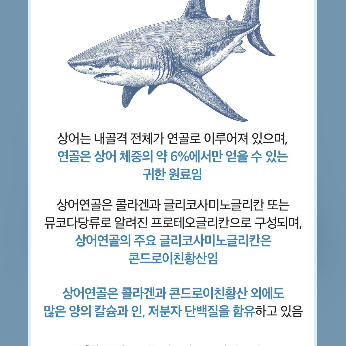 닥터린 콘드로이친 1200 콘레이티+MBP 12개월분