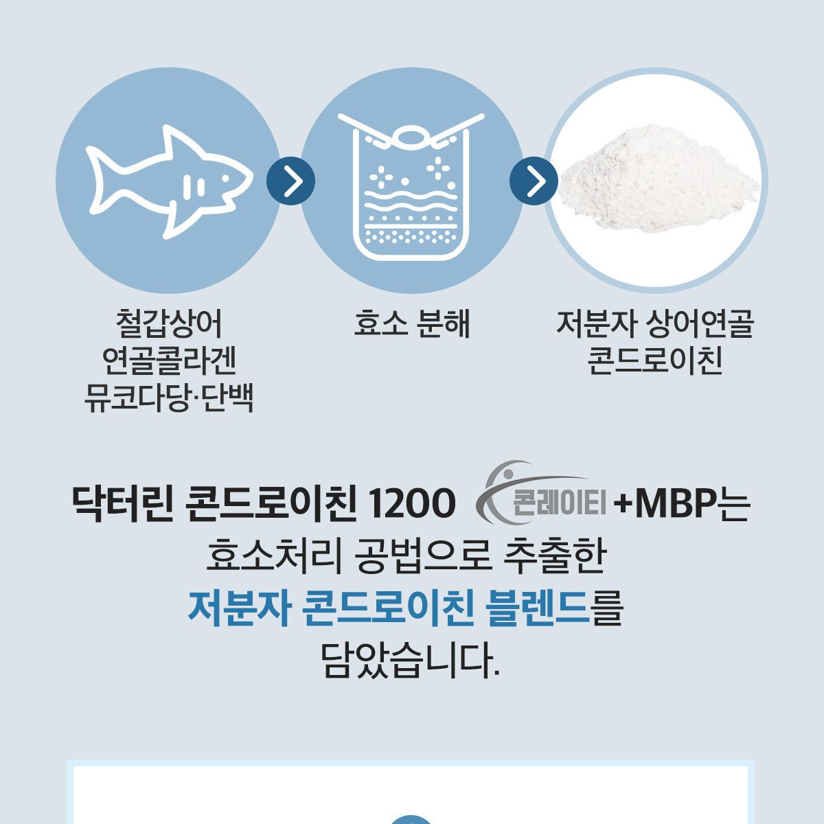 닥터린 콘드로이친 1200 콘레이티+MBP 12개월분