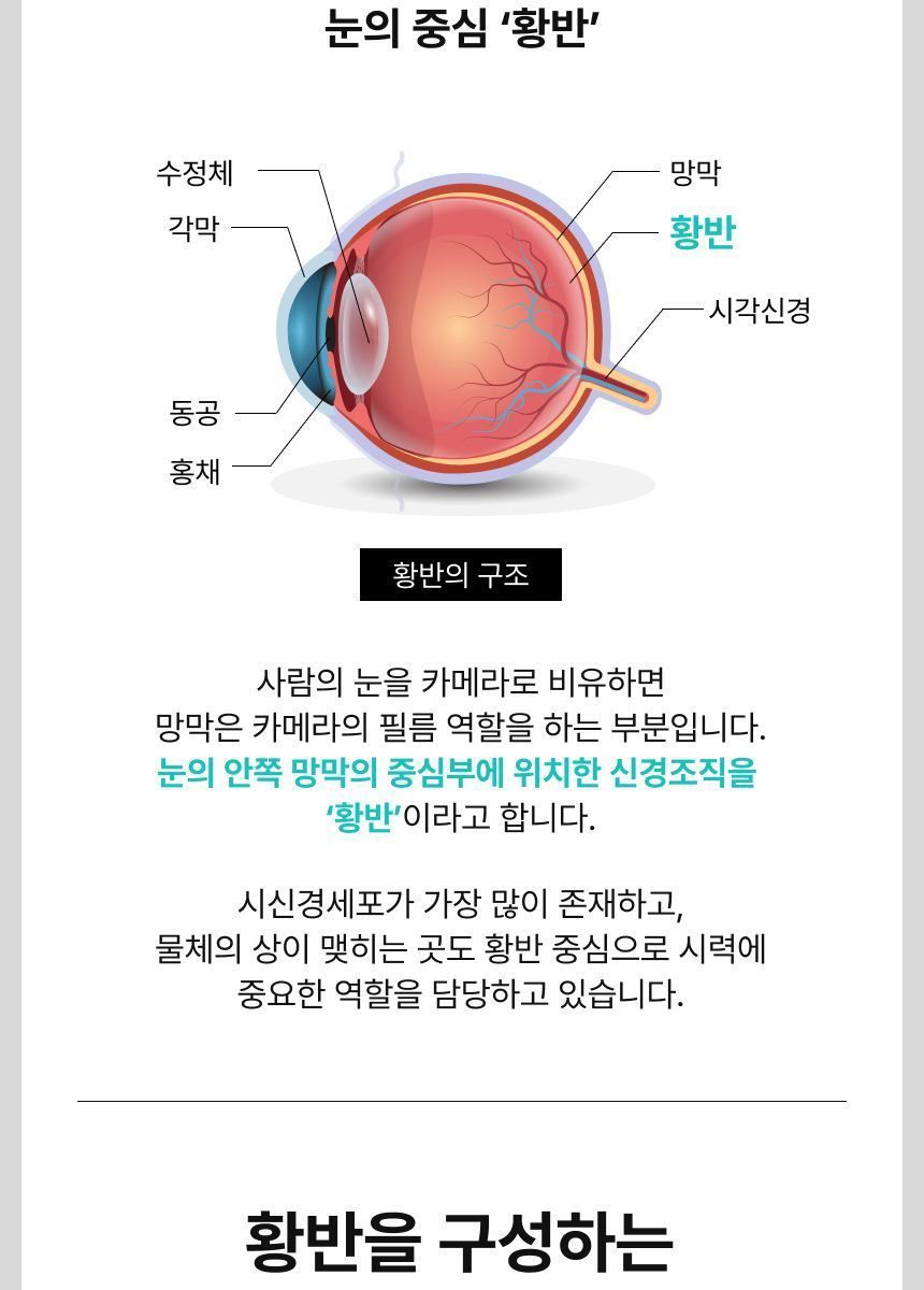 뉴트리원 정우성 루테인지아잔틴164 GR 15박스(15개월분)