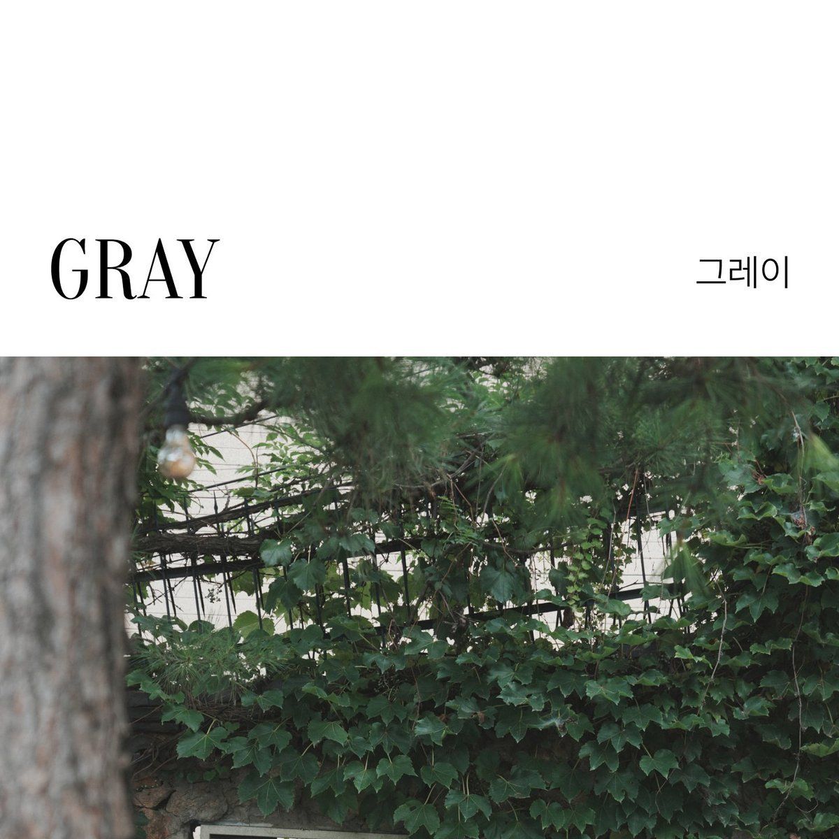 모르간 26FW 에센셜 브이넥 니트 3종[런칭 가격 79,900원]