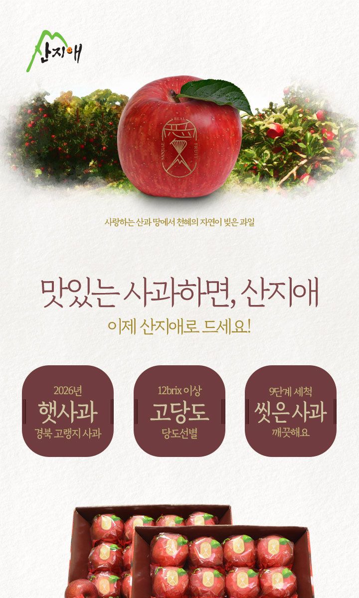 산지애 햇사과 5.4kg (2.7kg*2박스, 총 18~26과, 중과)
