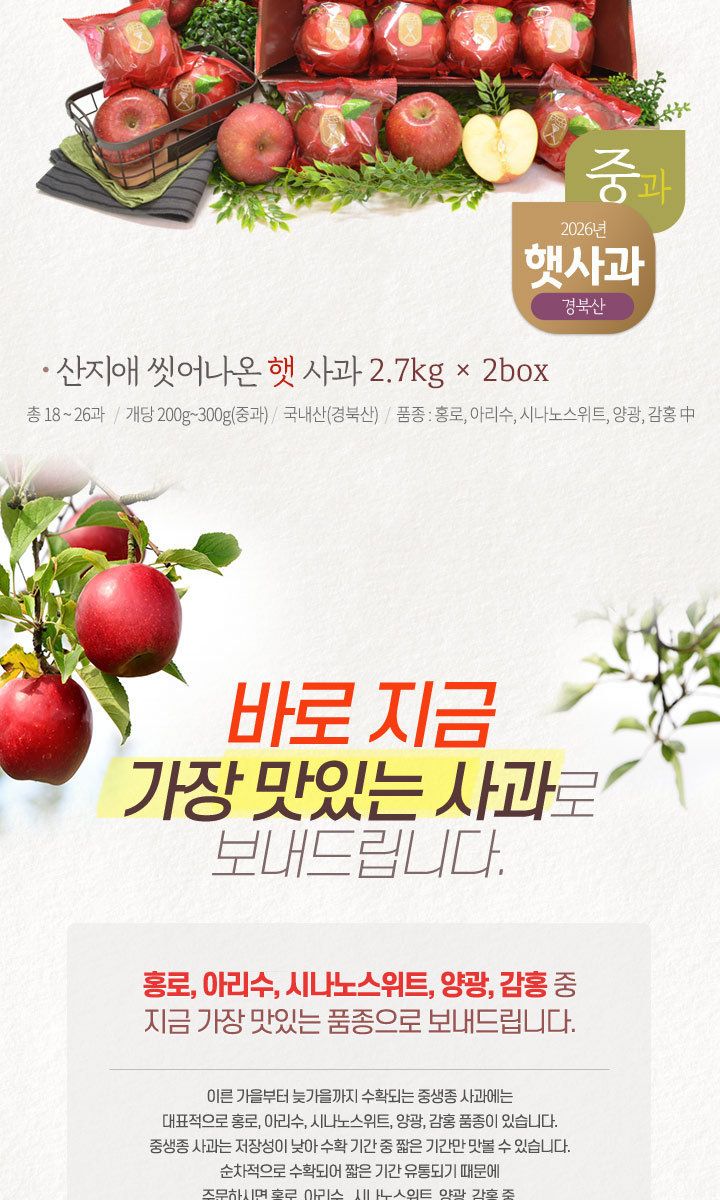산지애 햇사과 5.4kg (2.7kg*2박스, 총 18~26과, 중과)